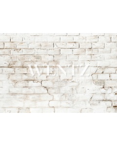 Fabric Photography Background Bricks / Backdrop 2136