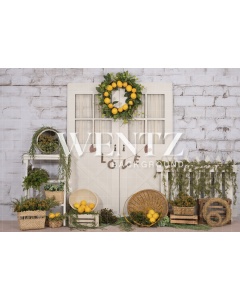 Fabric Photography Background Sicilian Lemon and Door / Backdrop 2227