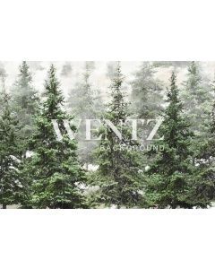 Fabric Photography Background Pine Forest / Backdrop 2370