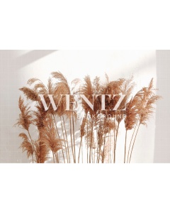 Fabric Photography Background Pampas Grass / Backdrop 2437