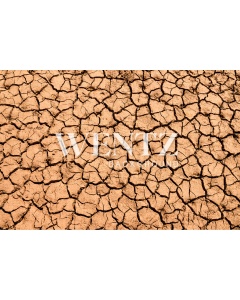 Fabric Photography Background Cracked Floor of the Desert / Backdrop 2440