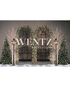 Fabric Photography Background Christmas Window / Backdrop 2494