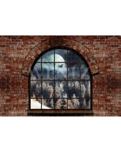 Fabric Photography Background Christmas Window / Backdrop 2498