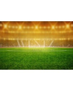 Fabric Photography Background World Cup Soccer Stadium / Backdrop 2533