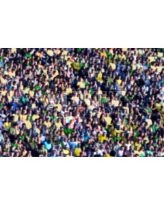 Fabric Photography Background World Cup Soccer Crowd / Backdrop 2536