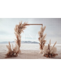 Fabric Photography Background Boho Scenery with Arch and Pampas Grass / Backdrop 3073