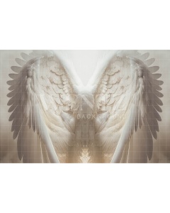 Fabric Photography Background Wings / Backdrop 3495