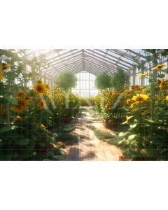 Fabric Photography Background Sunflower Greenhouse / Backdrop 3640