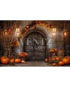 Fabric Photography Background Halloween Rustic Door / Backdrop 3723