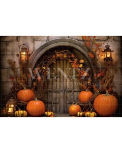 Fabric Photography Background Halloween Rustic Door / Backdrop 3725