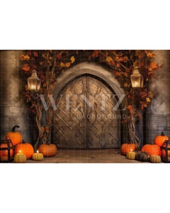 Fabric Photography Background Halloween Rustic Door / Backdrop 3726