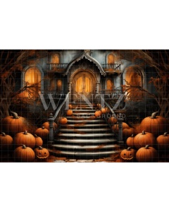 Fabric Photography Background Spooky House Balcony / Backdrop 3742