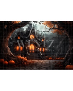 Fabric Photography Background Haunted House / Backdrop 3757