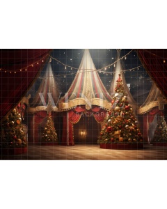 Fabric Photography Background Circus Tent / Backdrop 4125