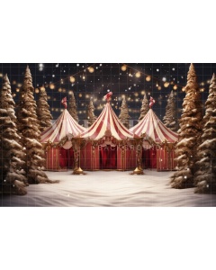 Fabric Photography Background Circus Tent / Backdrop 4144