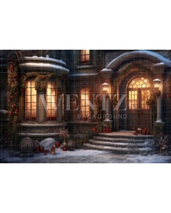 Fabric Photography Background Christmas Facade / Backdrop 4299