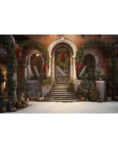 Fabric Photography Background Christmas Facade / Backdrop 4300