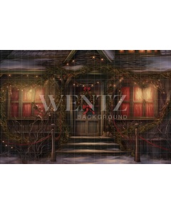 Fabric Photography Background Christmas Facade / Backdrop 4327