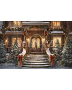 Fabric Photography Background Christmas Facade / Backdrop 4328