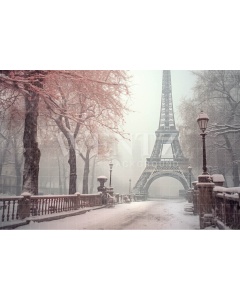 Fabric Photography Background Winter in Paris / Backdrop 4383