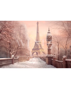 Fabric Photography Background Winter in Paris / Backdrop 4384