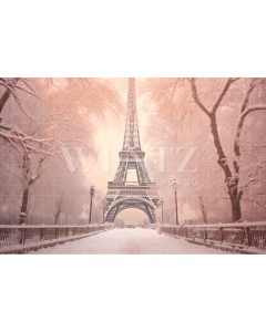 Fabric Photography Background Winter in Paris / Backdrop 4385