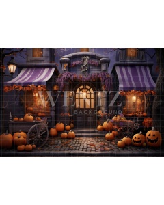 Fabric Photography Background Halloween Facade / Backdrop 4512