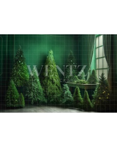 Fabric Photography Background Christmas Green Room / Backdrop 4567