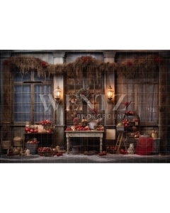 Fabric Photography Background Christmas Set / Backdrop 4727