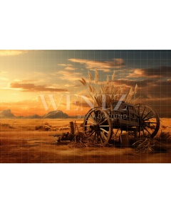 Fabric Photography Background Wagon / Backdrop 4771