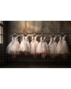 Fabric Photography Background Ballet Outfits / Backdrop 4893