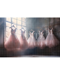 Fabric Photography Background Ballet Studio / Backdrop 4894