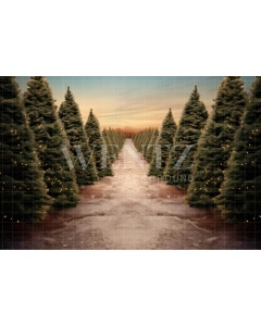 Photographic Background in Fabric Christmas Fir Trees / Backdrop 5057