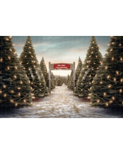 Photographic Background in Fabric Christmas Fir Trees / Backdrop 5058