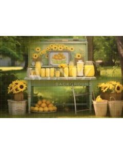 Photographic Background in Fabric Lemonade Stand / Backdrop 5143