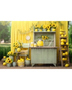 Photographic Background in Fabric Lemonade Stand / Backdrop 5146