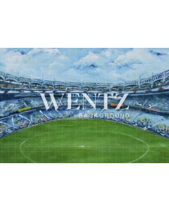 Fabric Photography Background Hand Painted Soccer Field / Backdrop CW003