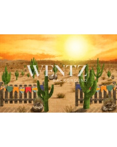 Fabric Photography Background Desert Sunset with Cactus / Backdrop CW142