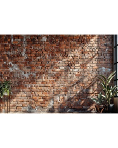 Fabric Photography Background Brick Wall Father's Day / Backdrop 6106