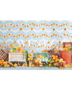 Fabric Photography Background Oranges / Backdrop 2289