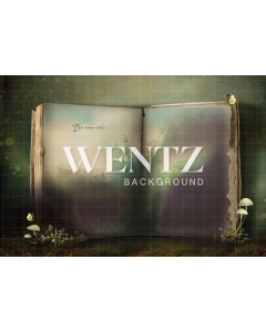 Fabric Photography Background Enchanted Book / Backdrop 2297