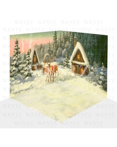 Photography Background in Fabric Christmas Set 3D / WTZ123