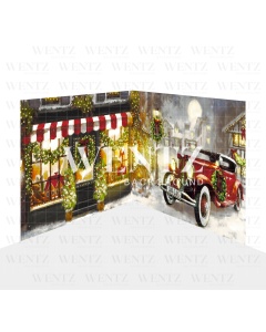 Photography Background in Fabric Christmas Set 2D / WTZ127