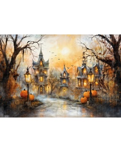 Fabric Photography Background Village Halloween / Backdrop 6343