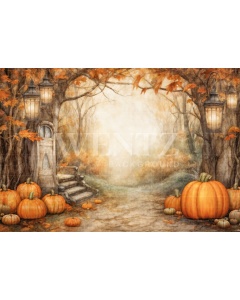 Fabric Photography Background Halloween / Backdrop 6346