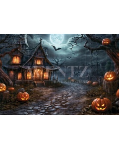 Fabric Photography Background Witch's House Halloween / Backdrop 6356