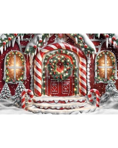 Fabric Photography Background Christmas House Front / Backdrop 6225