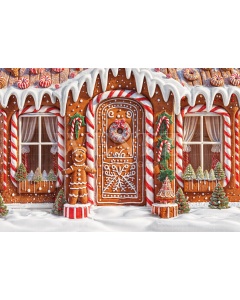 Fabric Photography Background Christmas Sweets House / Backdrop 6276