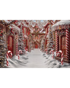 Fabric Photography Background Christmas Village / Backdrop 6326