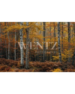 Fabric Photography Background Forest Fall / Backdrop 5951